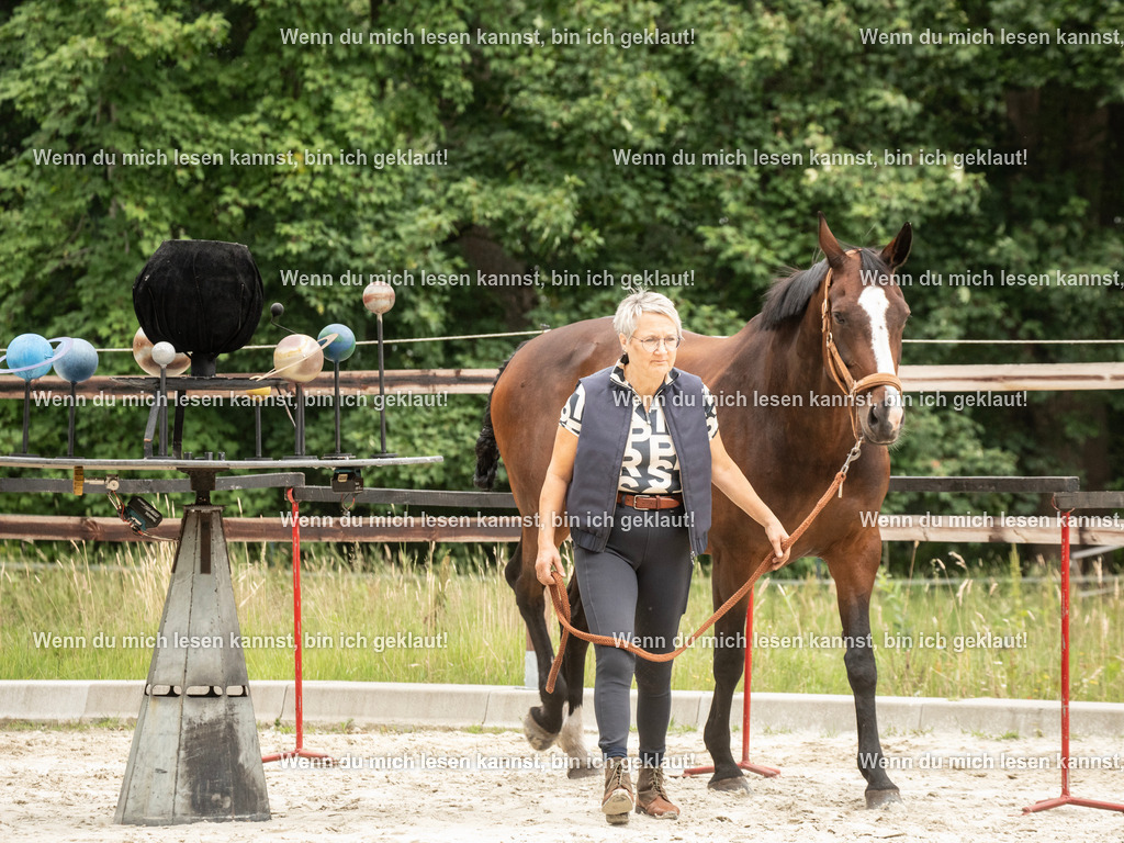 598A6595 | photographylinaismer - Realisiert mit Pictrs.com