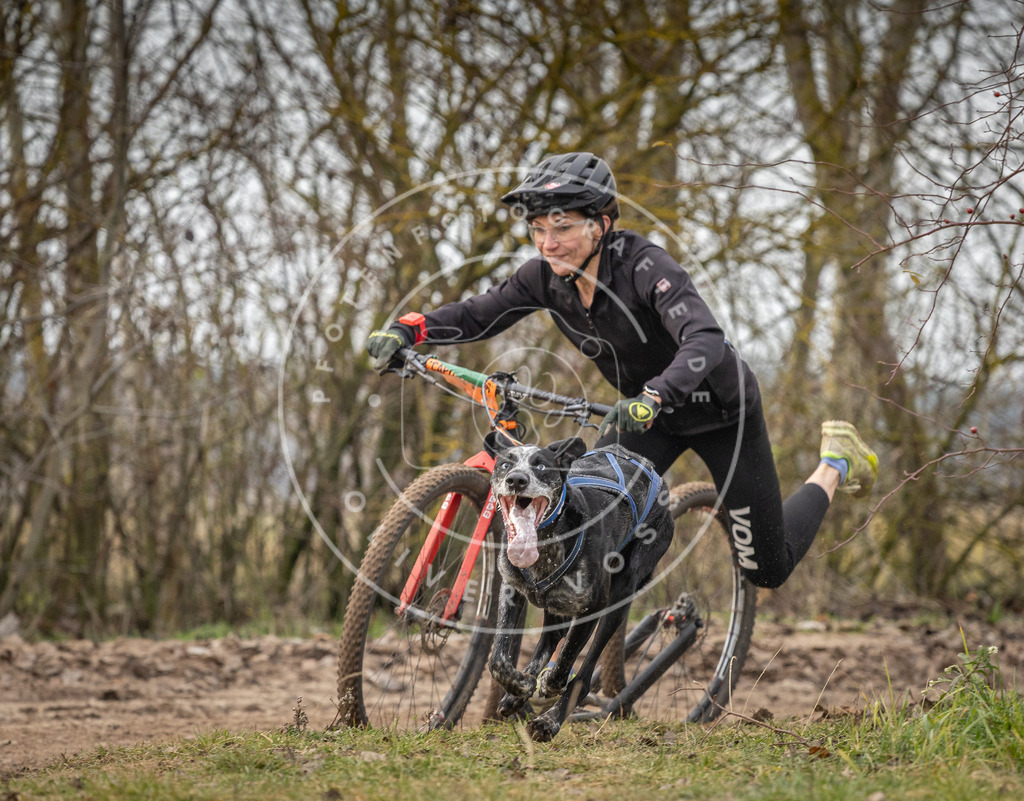 Pfotenfotografie_DV3A9185 | Hundefotografie, Tierfotograf, Pfotenfotografie, Fotoshooting Hund, Hunde Portrait, Hundesport, Hundeportraits, Heideshooting, Hunde, Sportfotograf, Hundefotograf, Turnierhundsport, THS,  - Realisiert mit Pictrs.com