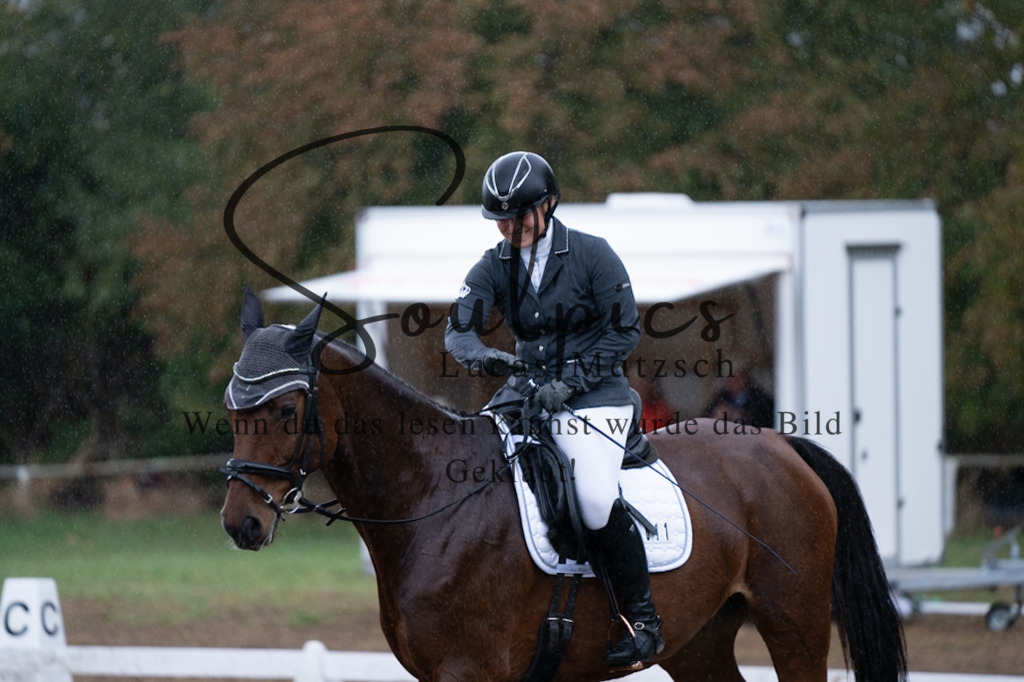 A7V05779 | Pferdefotograf