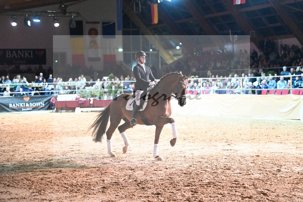 Feliciano_Wadenspanner_1234860 | hf-fotografie - Realisiert mit Pictrs.com