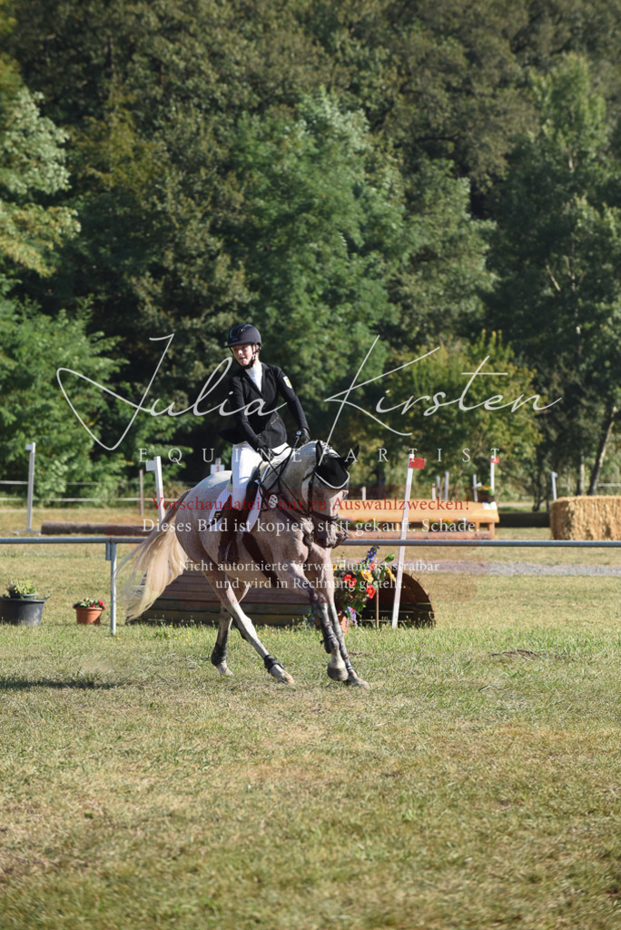 DSC_5277 | Pferde- und Turnierfotografie in Westsachsen. Pferdeportraits, Auftragszeichnungen und intuitive Kunst.