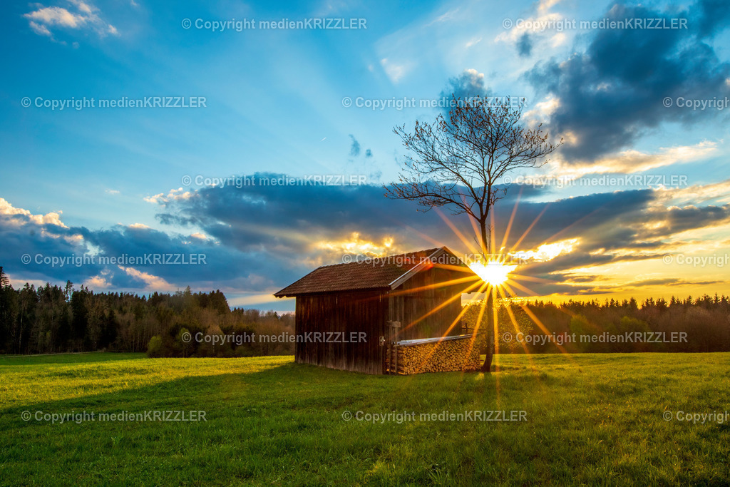 _07A7233 | medienkrizzler - Realisiert mit Pictrs.com