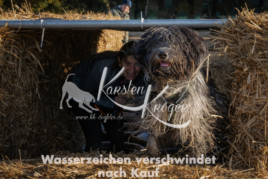 0937_ZZ93942 | kk-dogfotos