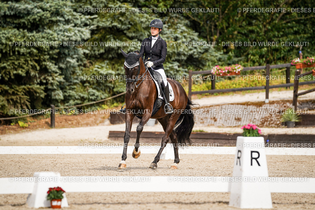 DSC06348 | Pferdegrafie