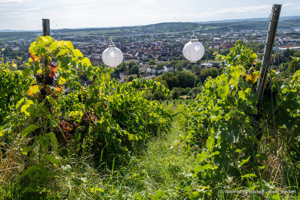 _DSC1183 | <Fotografie> <Video> <Film> <Winfried Bischoff> - Realisiert mit Pictrs.com