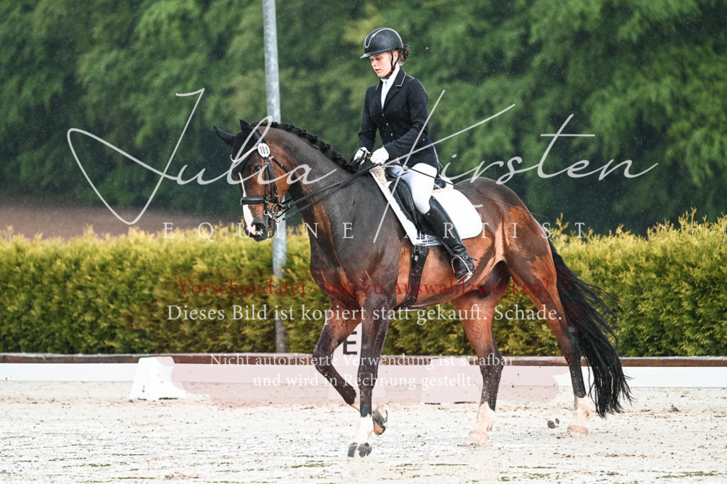 DSC_4168 | Pferde- und Turnierfotografie in Westsachsen. Pferdeportraits, Auftragszeichnungen und intuitive Kunst.
