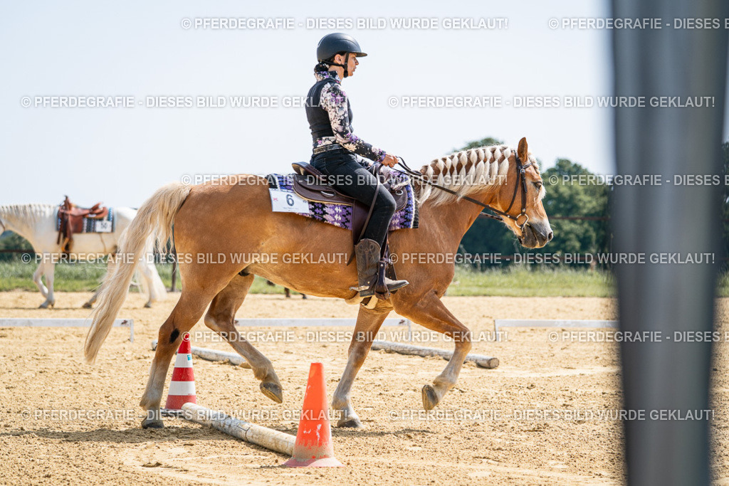 DSC00189 | Pferdegrafie