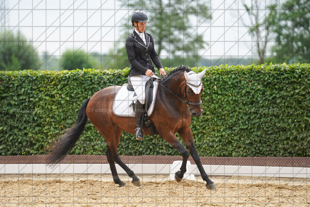 20240630-FAH00923 | Turnierbilder Schwabmünchen, Dressurbilder, Springreitturnier, Reitsportbilder, Turnierfotografen Bayern, Turnierfotograf