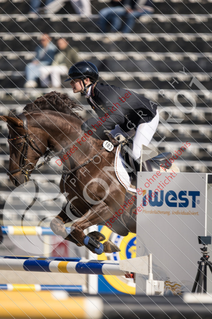 IMG_3545 | Sport-, Event- und Tierfotos in Profiqualität. Einfach auswählen, bestellen und herunterladen. Dein Moment – perfekt festgehalten.
