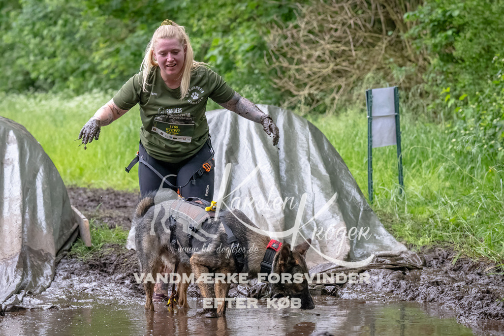 1617_ZZ93074-Bearbeitet | kk-dogfotos