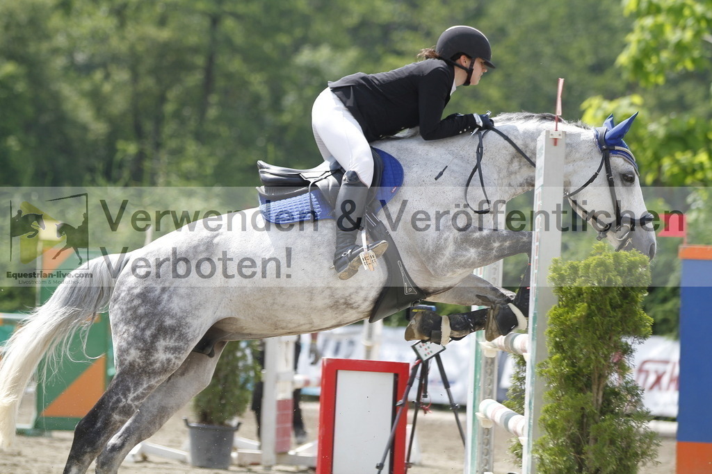 _MG_9652 | equestrian-live-com