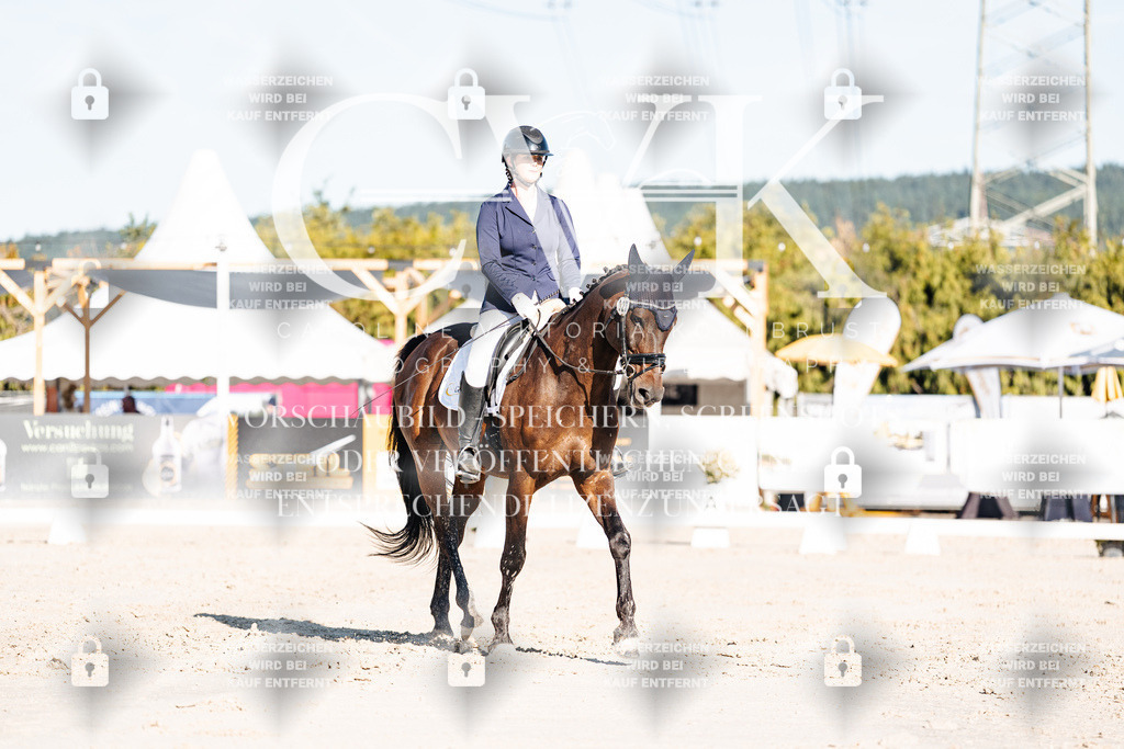CK907363 | Turnierfotografie Pferdefotografie Trier Rheinland-Pfalz Pferdesport Reitsport Tierfotografie Sportfotografie Pferdevideo Pferdevideografie Equestrianvideography equestrianphotography  - Realisiert mit Pictrs.com