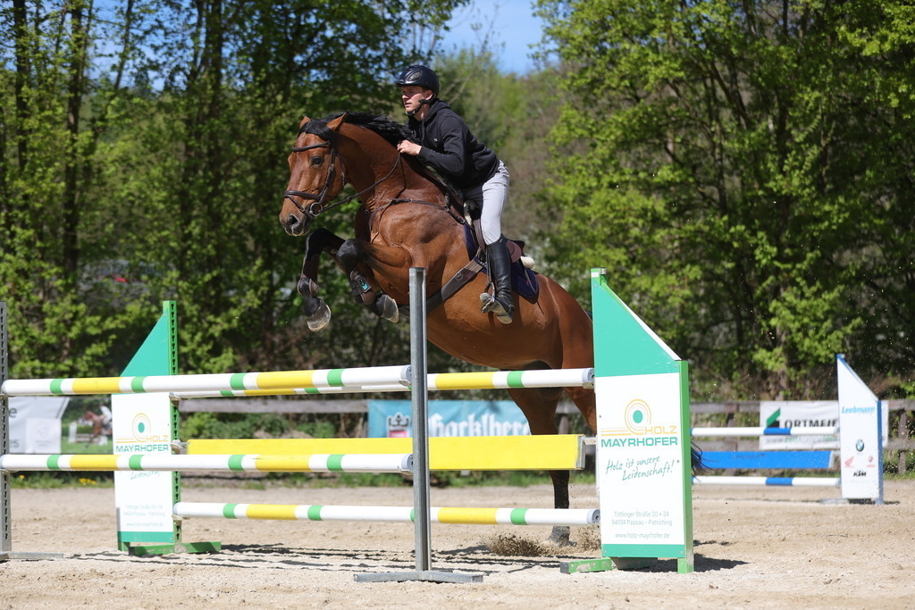 0P6A8169 | Willkommen bei Brunnmayr - Design & Fotografie – Ihrem Spezialisten für Reitturniere und Pferdeveranstaltungen in Oberösterreich, Salzburg und Bayern! Seit über 17 Jahren sind wir leidenschaftlich dabei.