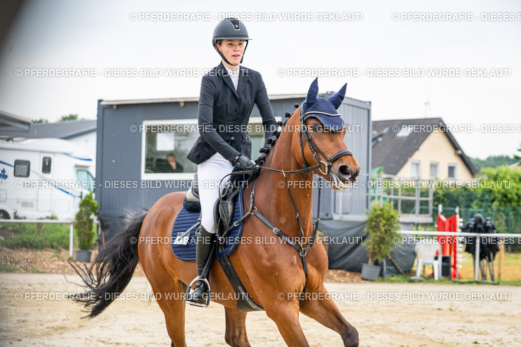 DSC09621 | Pferdegrafie