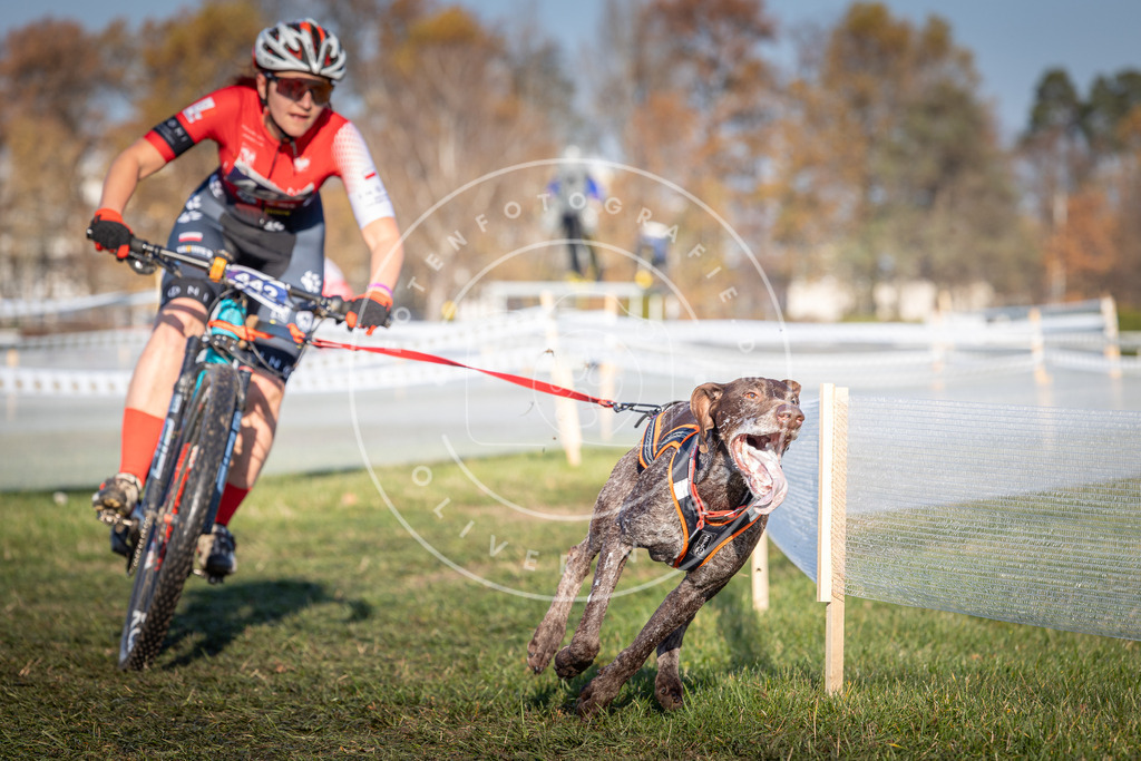 CaniXpix_0L8A4329 | Hundefotografie, Tierfotograf, Pfotenfotografie, Fotoshooting Hund, Hunde Portrait, Hundesport, Hundeportraits, Heideshooting, Hunde, Sportfotograf, Hundefotograf, Turnierhundsport, THS,  - Realisiert mit Pictrs.com