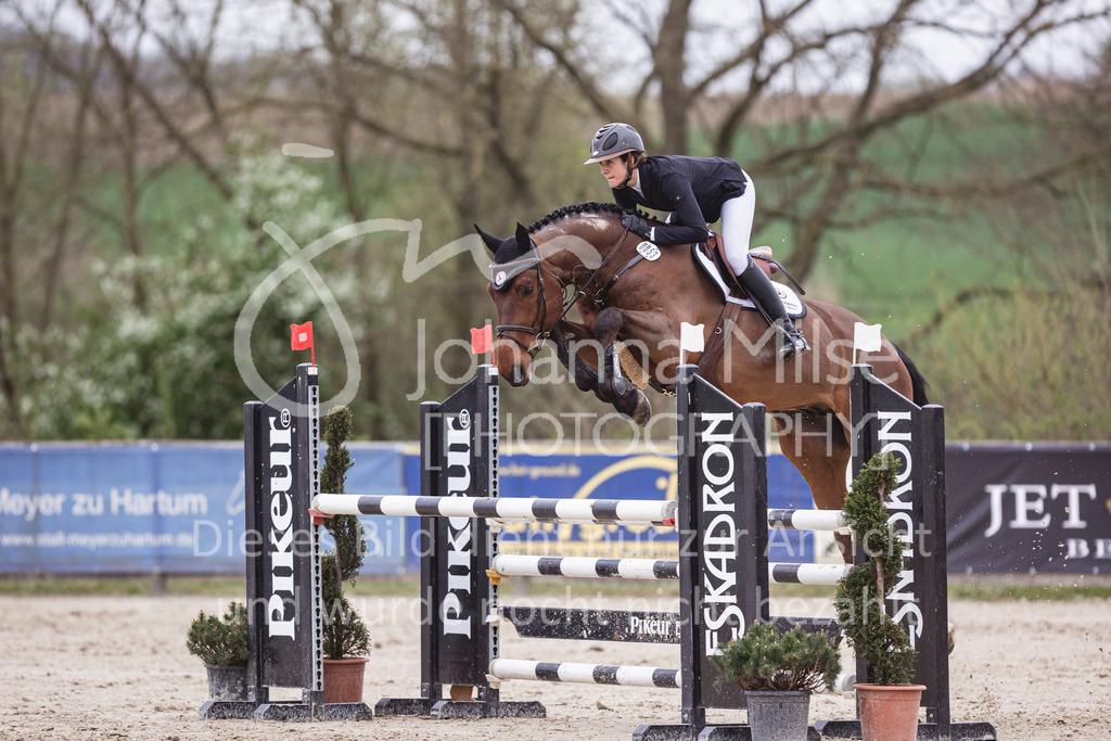 250417_Springpferde-L2-331 | Deine schönsten Turniermomente als professionelle Fotos! Entdecke hochwertige Pferdesport-Fotografie im Online-Shop. Jetzt Fotos finden & bestellen!