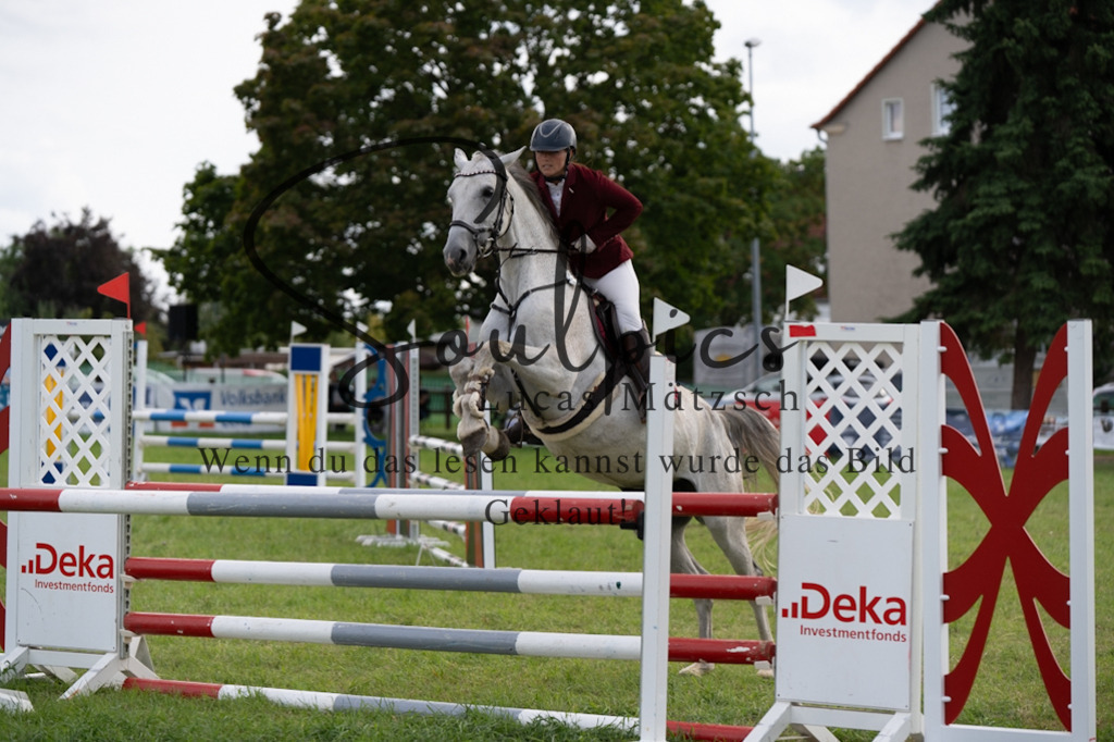 A7V04889 | Pferdefotograf