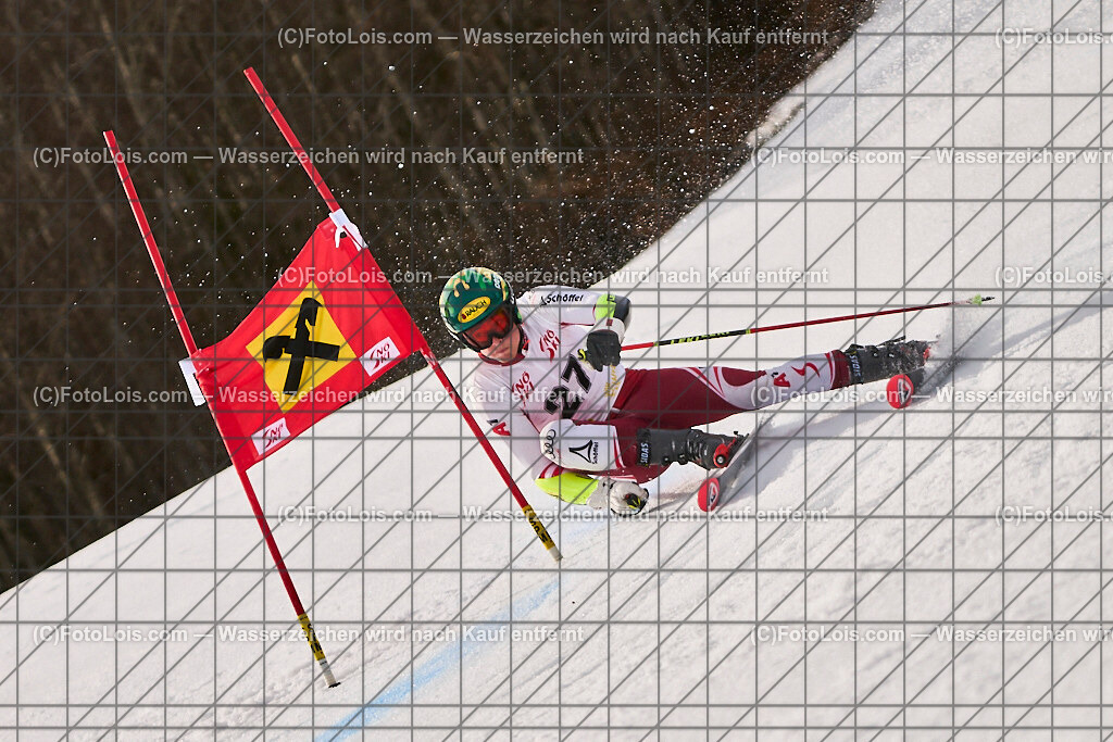 ALP8117_Herrn-FIS-GS-II_Lackenhof-WY_Heim Leo | Internationaler FIS GiantSlalom der Herrn auf der Distelpiste in Lackenhof am Di 11. März 2025.  Österreich, LSV-NÖ, Sportunion Waidhofen/Ybbs (2035).