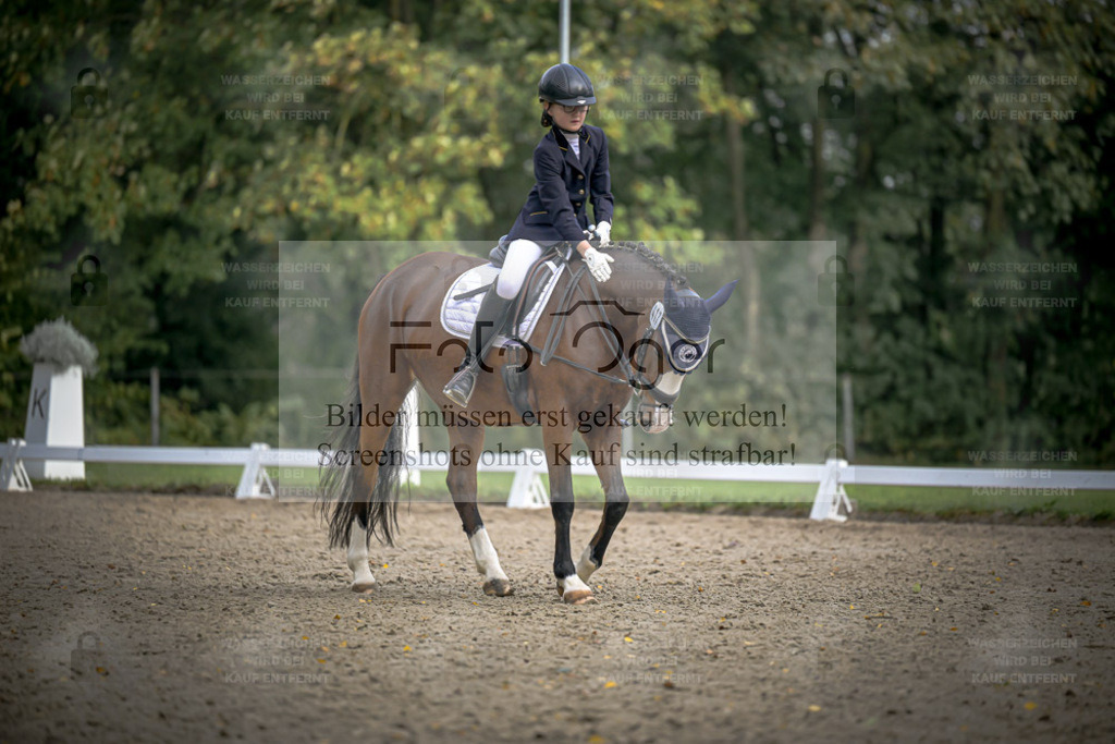 FOTO OGER | Entdecke hochwertige Reitturnierfotos von Foto Oger. Professionell, emotional und authentisch – jetzt Lieblingsmomente im Shop bestellen. - Realisiert mit Pictrs.com