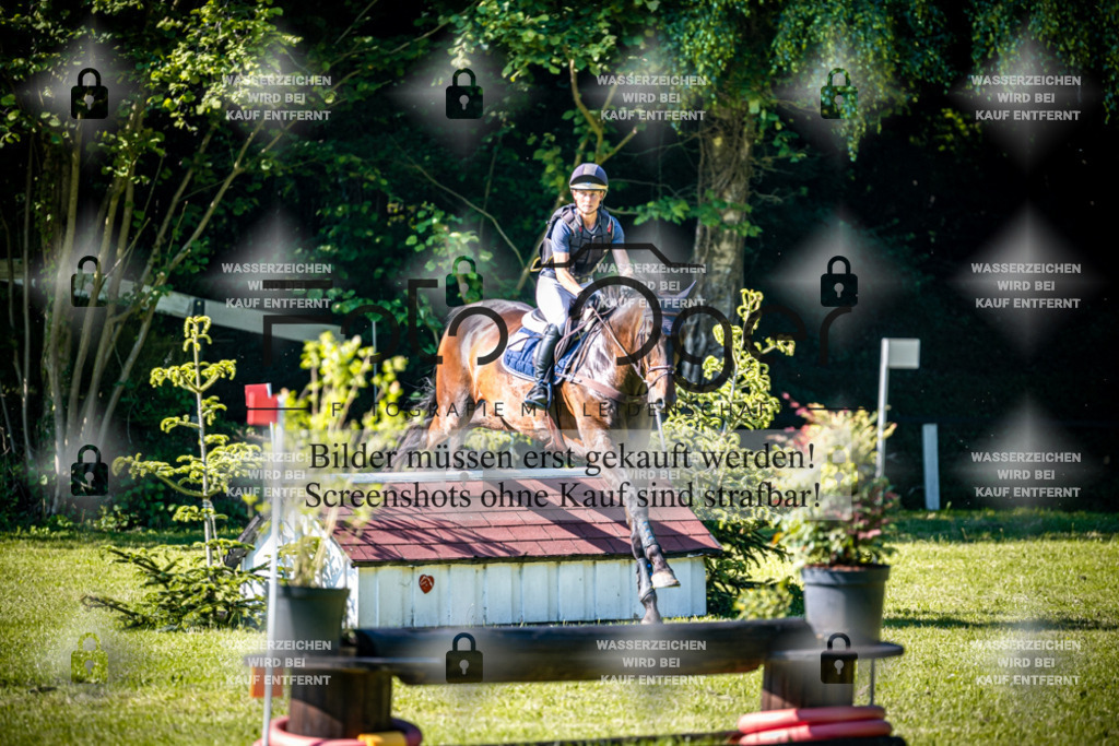 2026-05 - Melle Oldendorf-3-0032 | Entdecke hochwertige Reitturnierfotos von Foto Oger. Professionell, emotional und authentisch – jetzt Lieblingsmomente im Shop bestellen.Deutschlandweite Turnierfotografie. - Realisiert mit Pictrs.com