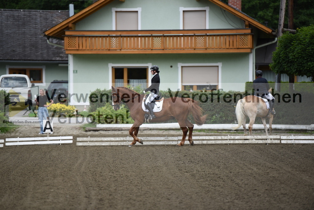 DSC_3617 | equestrian-live-com