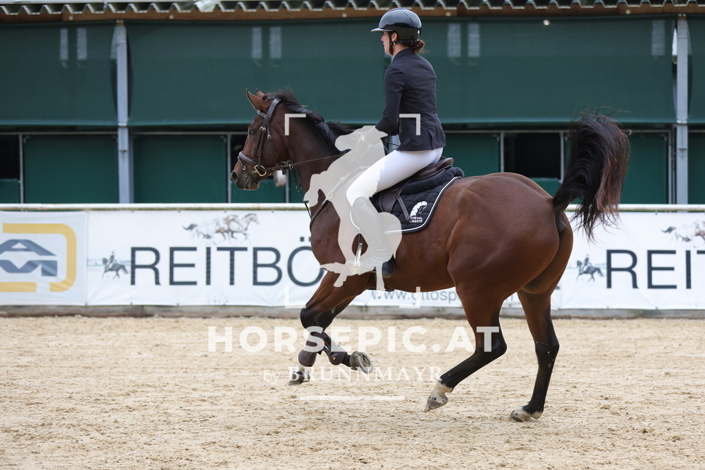 0P6A5540 | Willkommen bei Brunnmayr - Design & Fotografie – Ihrem Spezialisten für Reitturniere und Pferdeveranstaltungen in Oberösterreich, Salzburg und Bayern! Seit über 17 Jahren sind wir leidenschaftlich dabei.