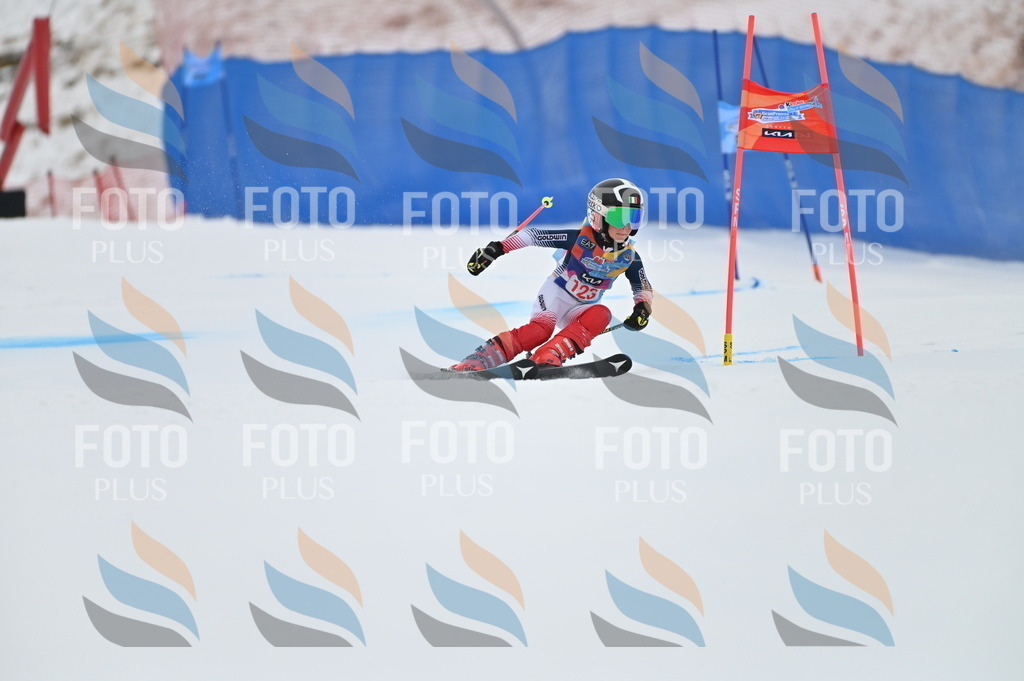 BGV_9985 | holidayphoto