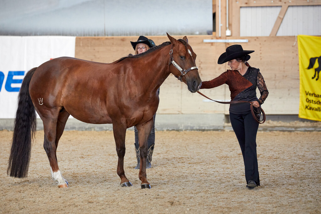 2020_07_19 Schweizersbild 009 | Peter Fridle Fotografie - Realisiert mit Pictrs.com