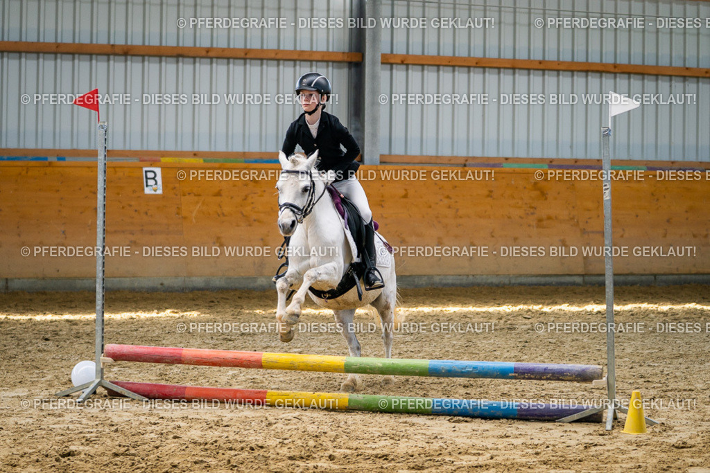 DSC02312 | Pferdegrafie