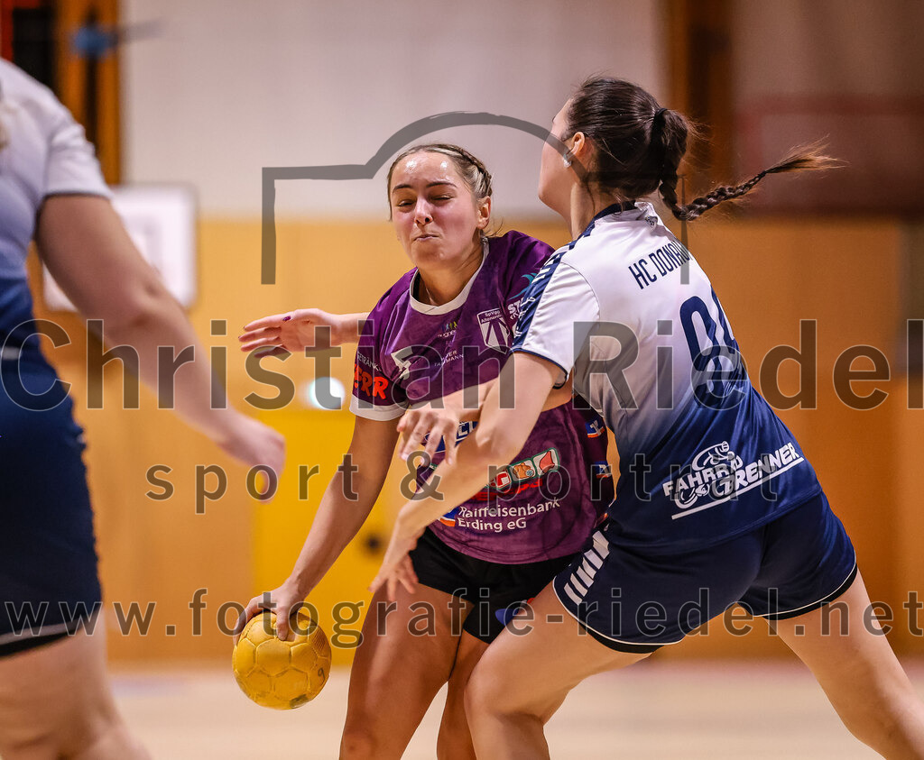 2024-11-24_110_SpVgg_Altenerding_gegen_HC_Donau-Paar_II | Erding, Deutschland, 24.11.2024:Handball, Bezirksoberliga Frauen Altbayern 2024 / 2024, 6. Spieltag, SpVgg Altenerding gegen HC Donau/Paar II, Endergebnis: 24:24Lena Prem (SpVgg Altenerding, #5), Julia Wellmann (HC Donau/Paar, #99)Foto: Christian Riedel / fotografie-riedel.net