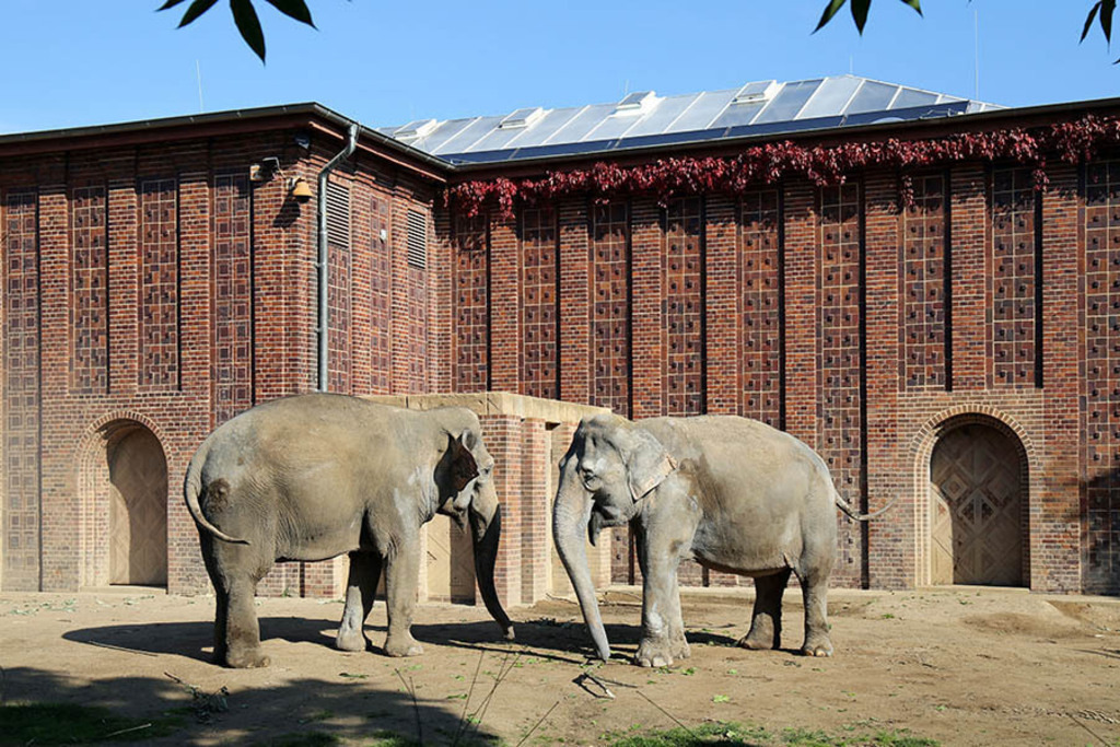 Foto: Leipzig - Zoo | Das Team hinter BILDLEXIKON LEIPZIG bündelt historische wie aktuelle Informationen über die Stadt Leipzig in Text und Bild auf einer Plattform und stellt diese der interessierten Öffentlichkeit zur Verfügung.