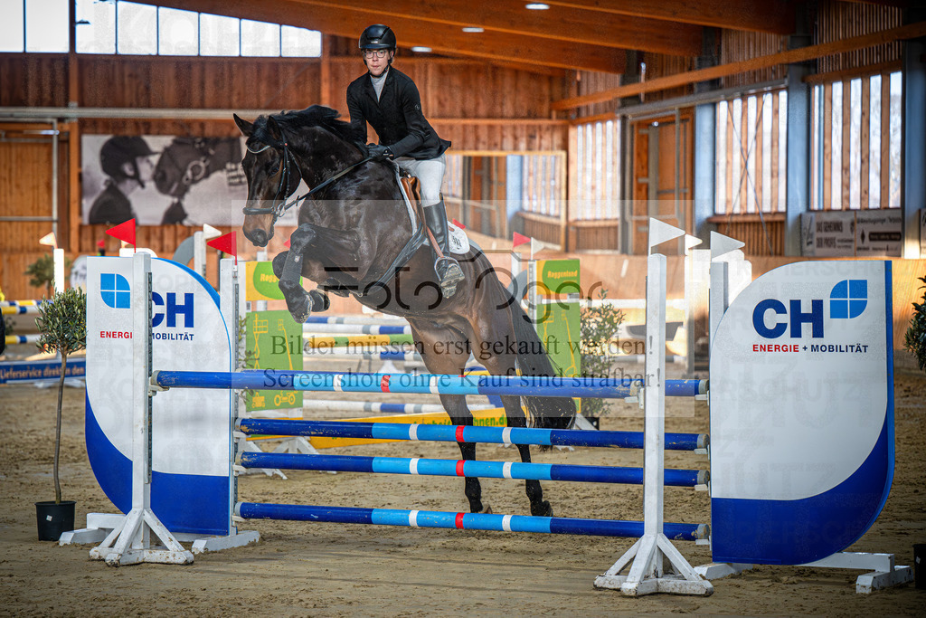 DOS_0857 | Entdecke hochwertige Reitturnierfotos von Foto Oger. Professionell, emotional und authentisch – jetzt Lieblingsmomente im Shop bestellen.Deutschlandweite Turnierfotografie. - Realisiert mit Pictrs.com