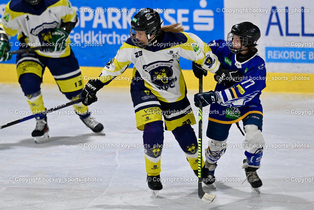LADY HAWKS vs. WILDCATS PATERNION | #23 Stuppnig Iris WILDCATS PATERNION, #77 Lang Chiara LADY HAWKS, LADY HAWKS vs. WILDCATS PATERNION, LADY HAWKS vs. WILDCATS PATERNION am 12.03.2025 in Steindorf (Ossiachersee Halle), Austria, (Photo by Bernd Stefan)