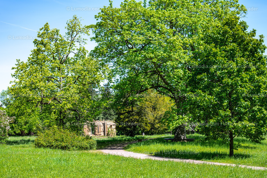 10049-14085 - Landschaftspark Degenershausen | Stockfoto und Bilderpool mit Bildmaterial aus Deutschland, dem Harz, Halberstadt, Quedlinburg, Wernigerode und weltweit. Qualitativ hochwertige und professionelle Fotos anschauen und kaufen. - Realisiert mit Pictrs.com