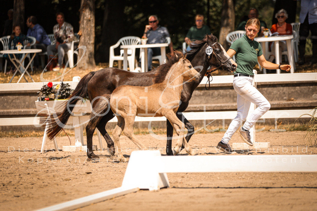 04.DoWP00035 | Leoni Ertmer Photography - Realisiert mit Pictrs.com