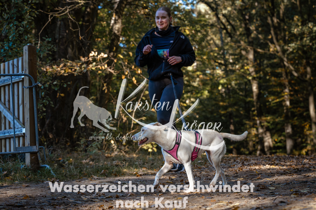 1119_ZZ91987 | kk-dogfotos