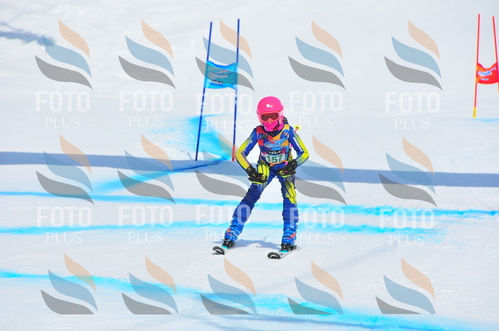 DSC_1389 | holidayphoto