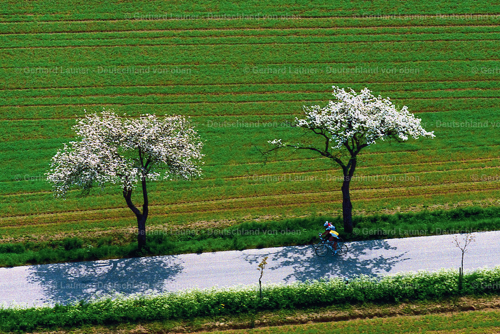 9300420 | Fahrradtour bei Rothenburg ob der Tauber