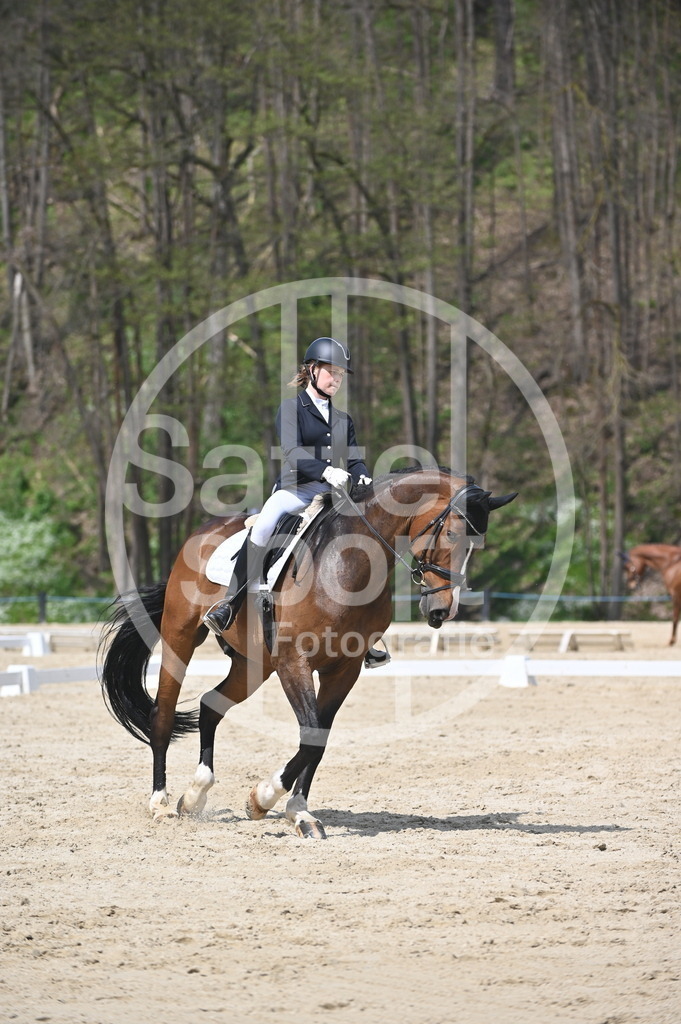 DSC_2340 | sattelsport - Realisiert mit Pictrs.com