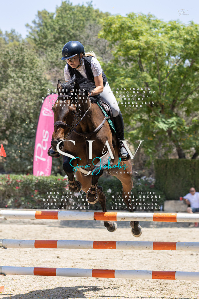 IMG_7146 | s-jay-photography - Realisiert mit Pictrs.com