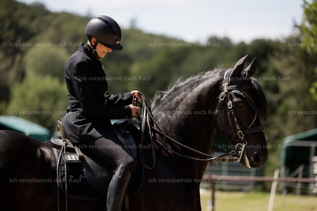 KlasseM_stoibphotography_C2_C8969.CR3 | working equitationturnier fotograf videograf stoibphotography marixx film working equitation deutschland reitsport turnierfotografie eventfotografie equestrian events