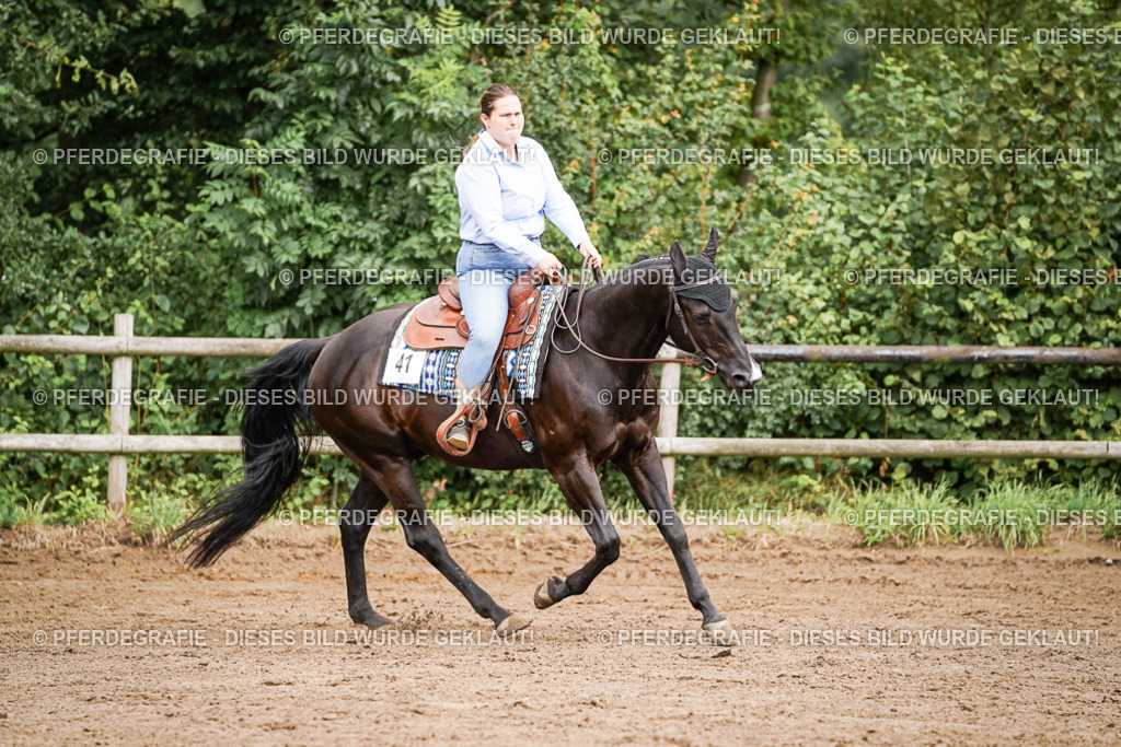 DSC06432 | Pferdegrafie