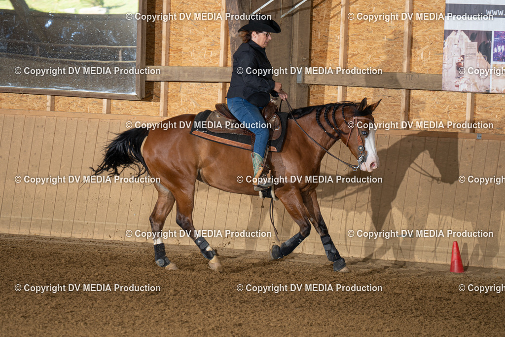 DSC00014 | dv-media-shop - Realisiert mit Pictrs.com