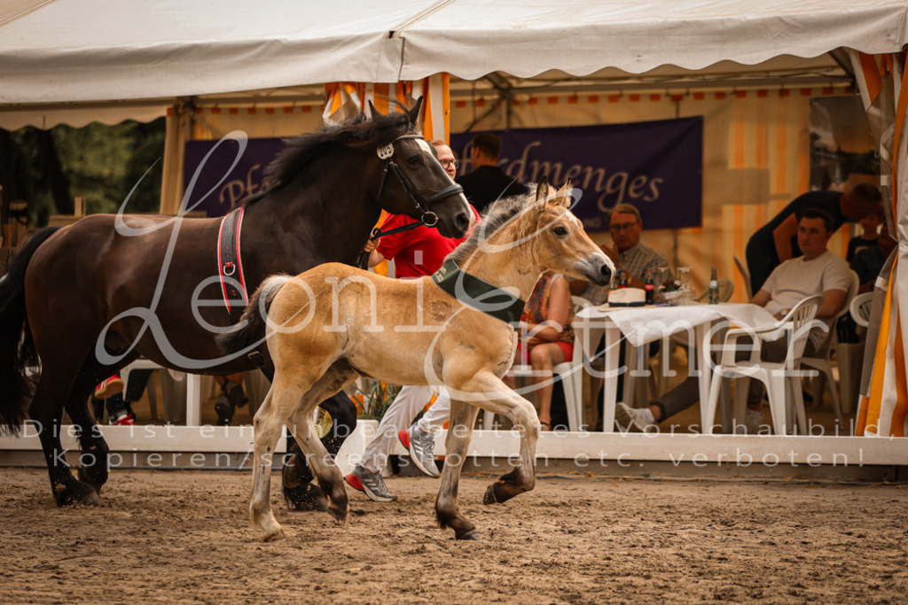 SaSF00213 | Leoni Ertmer Photography - Realisiert mit Pictrs.com