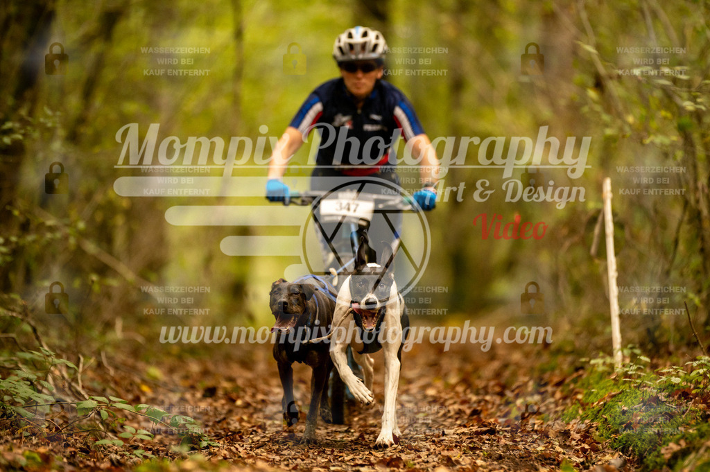 TSB_2023_E1_DS2-2 | PayLife