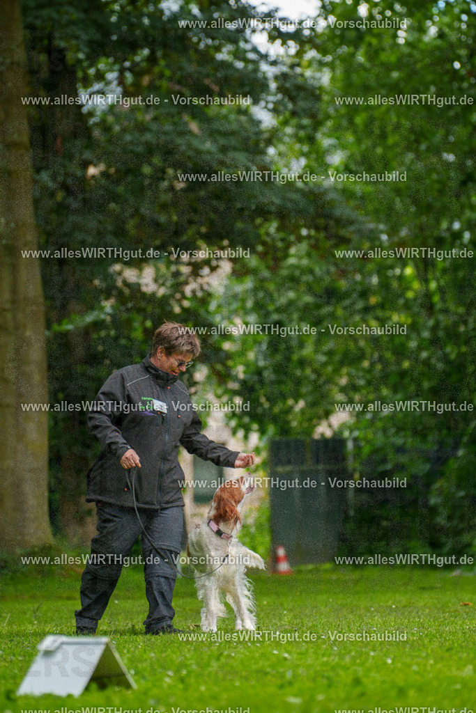 @allesWIRTHgut_Tierfotografie - www.allesWIRTHgut.de - 131322-7R509910 | Professionelle Tierfotografie in Mönchengladbach von Daniel Wirth (allesWIRTHgut). Liebevolle & natürliche Bilder von Hunden & Katzen für unvergessliche Erinnerungen.