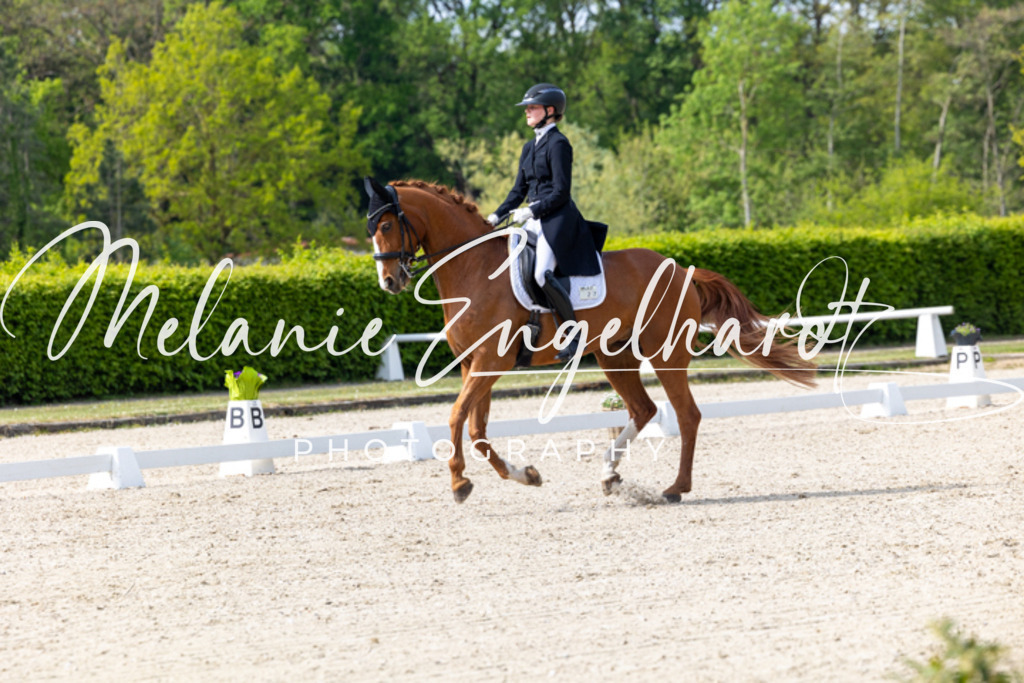 7I8A1021 | melanie-engelhardt-photography - Realisiert mit Pictrs.com