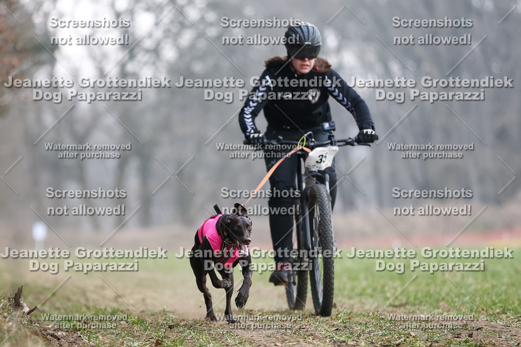Dog Paparazzi - Plate 2026-115 | Dog Paparazzi Jeanette Grottendiek Fotografie & Videografie - Realisiert mit Pictrs.com