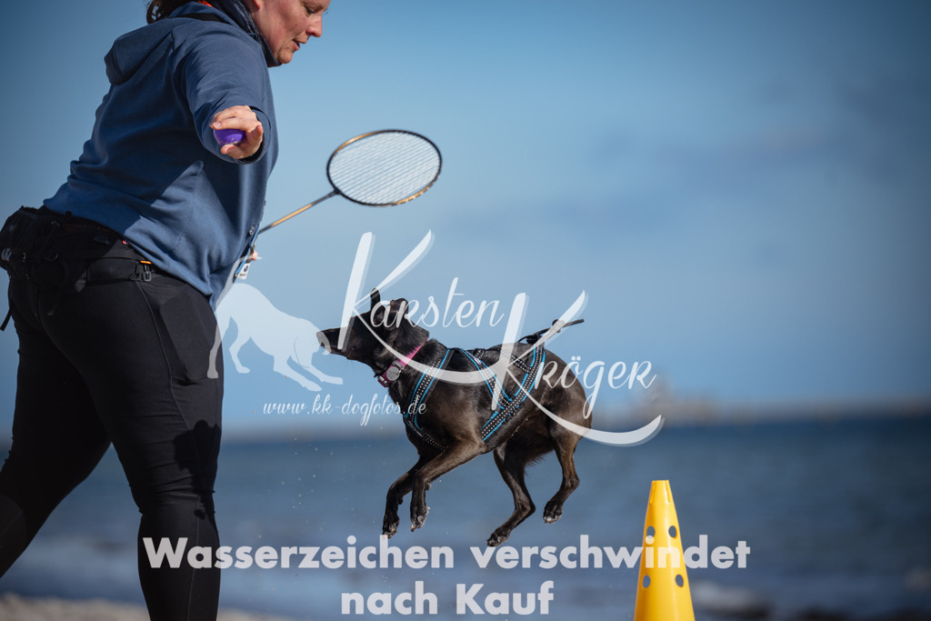 1339_ZZ92492 | kk-dogfotos