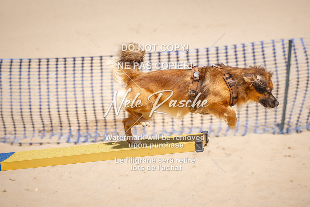 NR__2526 | nelerasche